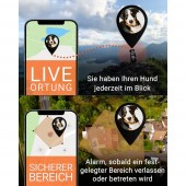 PAJ GPS PET Finder 4G GSM adatgyűjtő Háziállat követés