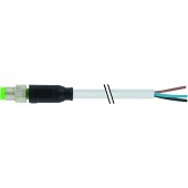 Murrelektronik 7000-08011-2310500 Érzékelő-/működtető összekötő, konfekcionálatlan M8 x 1 Dugó, egyenes 5.00 m Pólusszám: 4 1 db