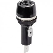 Biztosíték tartó Alkalmas Finombiztosíték 6.3 x 32 mm 15 A 250 V/AC TRU COMPONENTS TC-R3-53 1 db