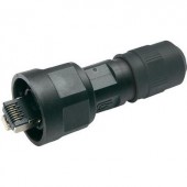 STX V1 RJ45 dugókészlet, műanyag, 1 dugó, egyenes Pólus: 8P8C fekete Telegärtner J80026A0011