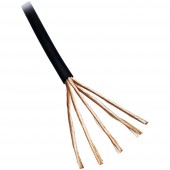 BKL Electronic 1509016/10 Audio vezeték 6 x 0.08 mm² Fekete 10 m